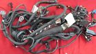 206639 Maserati Harness Gt