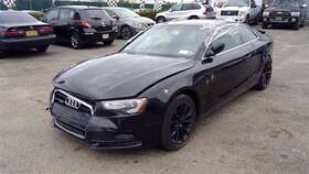 663.au1g13 Audi Dnl