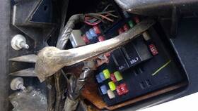 663.gm8m06 Chevrolet Truck Silvrdo15 2006 Fuse Box Cabin 585084