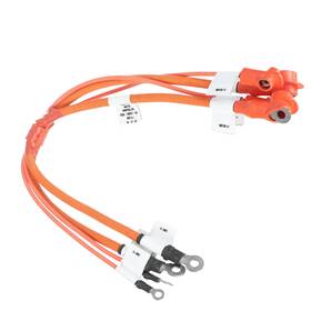 Ford 2e3z-14401-ga Genuine 2002-2003 Th Nk Neighbor Main Controller Wiring Assy2e3z-14401-ga