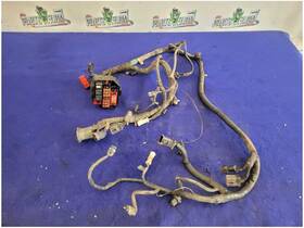 663.fd1g95 Ford 1995 Mustang Gt 5.0l Power Distribution Harness Wire Plug M/t Read 2668