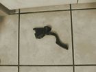 234.to1f06 Highlandr 2006 Accelerator Parts 292786