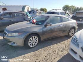 32117ta6a30 Honda Accord 2010 Dash Wire Harness 7528473