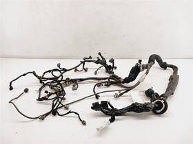 24011-1nm3b Infiniti 648.in1o11 11 G37 Sedan A/t Engine Wire Harness Awd With Adaptive Cruise Oem