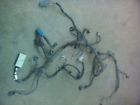 648.gm7p06 Ion Engine Wire Harness