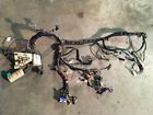 P56021782ah Dodge Dakota Dash Wiring Harness Complete Box Nice