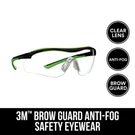 3M Anti-fog Safety Glasses Clear Lens Black/green Frame 1 Pc. Fixed Price $19.48.