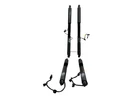 2021-2025 Tesla Model Rear Right Falcon Door Lift Cylinder Set X4 Oem. Fixed Price $271.98.