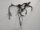 2015 Nissan Rogue Old Engine Wiring Harness 2.5L Fwd Aod. Fixed Price $239.40.