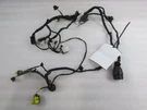 Ferrari California, Rh, Right Door Wire Harness, Hi-fi, Full Option, P/n 281569. Fixed Price $285.00.