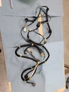 99-01 Honda Crv Rear Harness For Gate Glass 32108-S10-A002 Oem. Fixed Price $100.00.