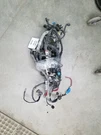 Ranger 2001 Engine Wire Harness 308453. Fixed Price $230.00.