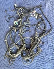 98-02 Lexus J100 LX470 Complete Engine Wiring Harness Tested Oem. Fixed Price $299.99.