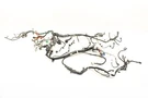 17-23 Tesla Model Front Body Wire Harness 156796402B. Fixed Price $235.00.