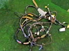 2005 Infiniti G35 Coupe Rh Passenger Body Wire Harness 24017 AC821. Fixed Price $100.00.