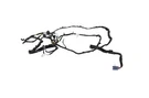 Tesla Model X Rear Right Door Wiring P1063406-00-G P100D 2019 25251309. Fixed Price $32.35.
