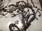 Tacoma 2008 Engine Wire Harness 2.7L,RWD,ID: 82121-04431. Fixed Price $250.00.