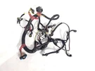 Engine Wiring Harness 7.3 Missing Clip Pn 1807461C91 Oem 2001 Ford F250. Fixed Price $314.11.