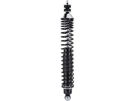 Ford Crown Victoria Shock Absorber And Coil Spring Assembly 95447ZXKT. Fixed Price $99.26.