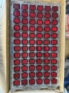 Tesla Reflector Lamp Passenger Door Light For 17-22 Model M3 Purse Gold. Fixed Price $700.00.
