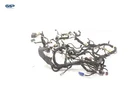 2018-2021 Ford Ecosport Dashboard Instrument Panel Wire Wiring Harness Oem. Fixed Price $129.24.
