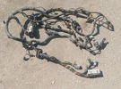 Engine Computer Injector Wiring Harness 1993 Ford Mustang Cobra Gt Lx 5.0 V8. Fixed Price $474.99.