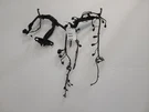 2018 Hyundai Elantra 2.0L Aod Fwd Engine Harness. Fixed Price $303.49.