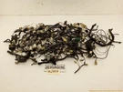 Mitsubishi Delica L300 Van Full Wire Wiring Harness 2.5L Cylinder Fits 86-94. Fixed Price $449.87.