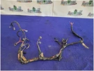 2004 Ford Mustang Cobra Svt Dohc 4.6L Battery Starter Harness Wire Plug 2713. Fixed Price $149.99.