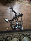 2003-05 Nissan 350Z Dash Wiring Harness CD24010 CD200 Oem. Fixed Price $199.99.
