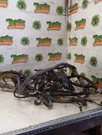 Titan Xd 2018 Engine Wire Harness 3806420. Fixed Price $272.99.