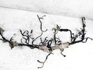 2021 Subaru Crosstrek 2.0L At Dashboard Instrument Wiring Harness Oem 81302FL890. Fixed Price $220.40.