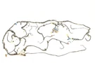 98-00 Frontier 2.4L Dash Wiring Harness *wires Are Cut See Pictures*. Fixed Price $160.00.