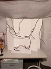 05087089AB Chrysler 300C Dodge Charger And Magnum Oem Headliner Wiring Harness. Fixed Price $150.00.
