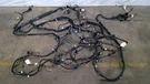 2018-2023 Ford Ecosport Dashboard Instrmnt Panel Wiring Harness GN15-14401-CZE. Fixed Price $165.00.