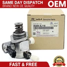 High Pressure Fuel Pump Assy Hpfp 35320-3L110 Fit For Kia Cadenza Sedona Sorento. Fixed Price $149.89.