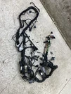 2024-2025 Ford F-150 Oem 3.5L 4X4 Engine Bay Wire Wiring Harness RL3T-12A581-FXB. Fixed Price $424.98.