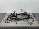Porsche Cayman 987 2007 Petrol Engine Installation Wiring Loom LIQ6677. Fixed Price $248.45.