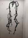Scion Xb, Engine Wire Harness, 04-06, 1.5L, 4CYL, At, 4SPD, U340E, 82121-5C130. Fixed Price $302.08.