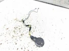 2013-2020 Ford Fusion Front Windshield Rain Sensor DS7T-17D547 Oem. Fixed Price $39.99.