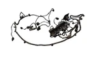 12-13 Lr Range Rover Evoque L538 Front Park Assist Pdc Sensor W/ Harness Oem. Fixed Price $217.30.