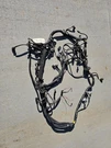 98-99 Mitsubishi 3000GT Sohc Engine Wiring Harness W/man Transmission. Fixed Price $275.00.