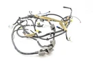 2011 Nissan 307Z Roadster Passenger Right Side Body Wire Harness AB017911NAM. Fixed Price $180.95.