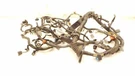 99 Lexus RX300 Engine Wire Harness 3.0L At 4WD 82121-48030. Fixed Price $224.99.