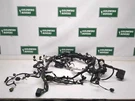 17 Jaguar Xe Wire Harness (engine) 3.0L Awd GX53-12C508. Fixed Price $202.73.