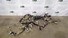 2017-2019 Infiniti QX60 Dash Wire Harness Oem. Fixed Price $199.50.