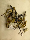 2007 Lexus RX400H Dash Wire Harness. Fixed Price $97.49.