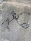Prius 2014 Engine Wire Harness Toyota Iii 4DR 2WD 82111-47804. Fixed Price $150.00.