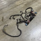 7.3L Engine Wire Harness Fits 99 00 01 Ford F250 F350 Super Duty Used Oem. Fixed Price $134.98.