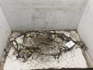 98 Toyota Tacoma Dash Wire Harness 3.4L R134A. Fixed Price $179.99.
